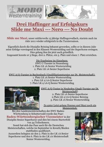 Drei Haflinger auf Erfolgskurs Slide me Maxi - MOBO Westerntraining