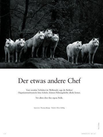 Der etwas andere Chef - Brand eins