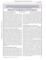 Mechanisms of angiogenesis and arteriogenesis