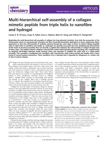 Multi-hierarchical self-assembly of a collagen mimetic peptide from ...
