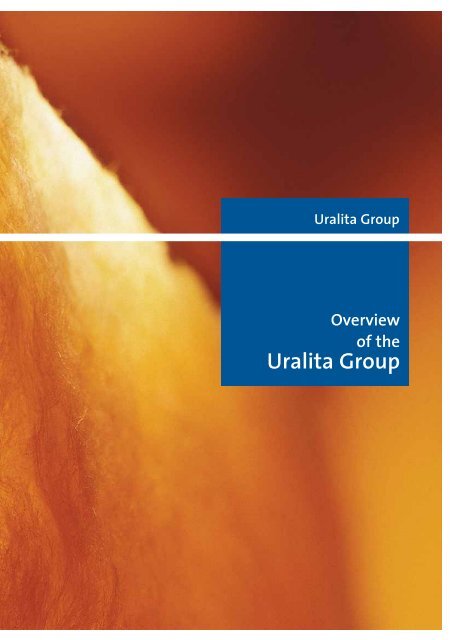 Overview of the Uralita Group (259.5 KB)