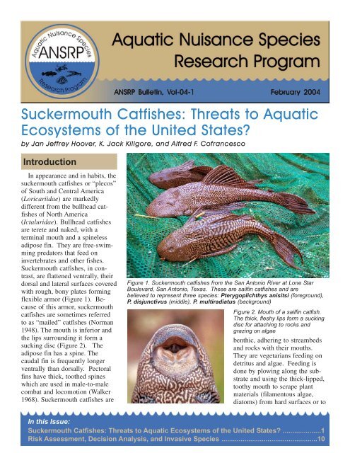 Suckermouth Catfishes: Threats to Aquatic Ecosystems of the