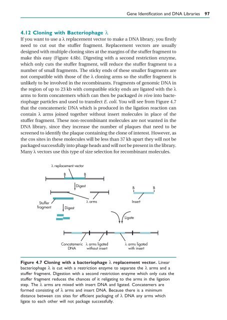 Gene Cloning