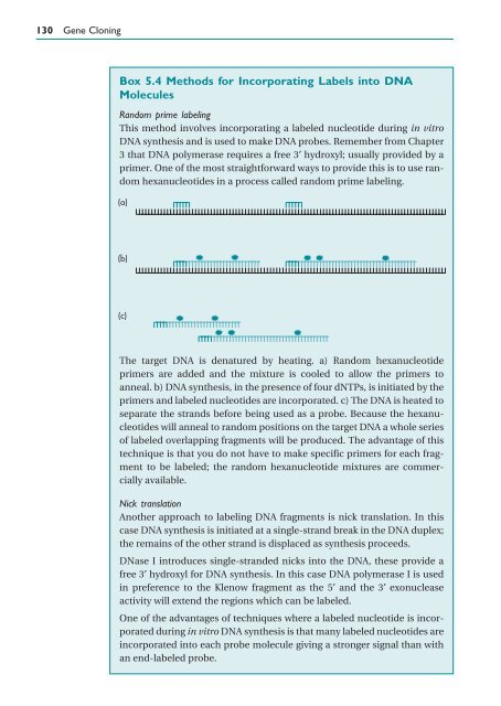 Gene Cloning