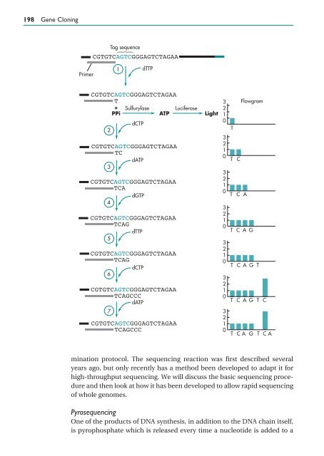 Gene Cloning