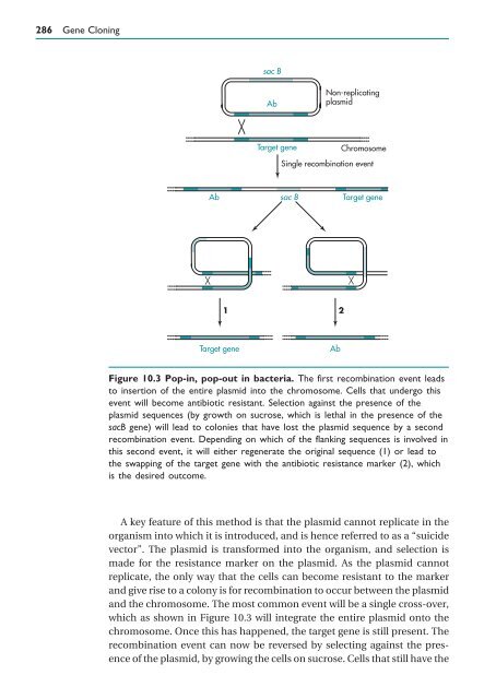 Gene Cloning