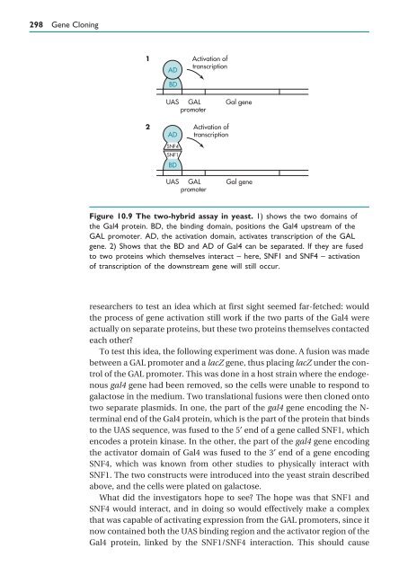 Gene Cloning