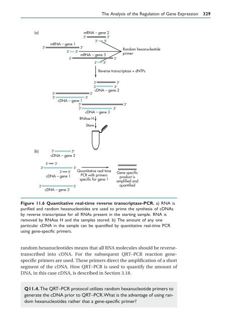 Gene Cloning