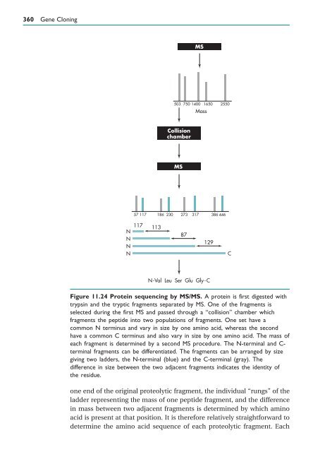 Gene Cloning