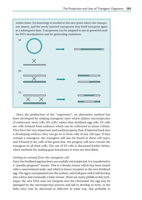 Gene Cloning