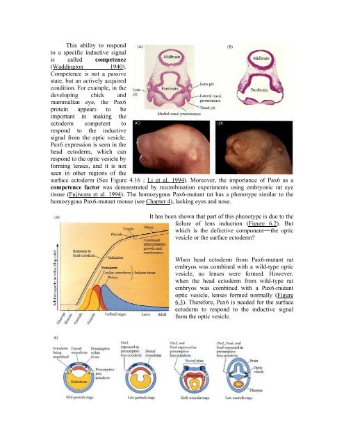 The Questions of Developmental Biology