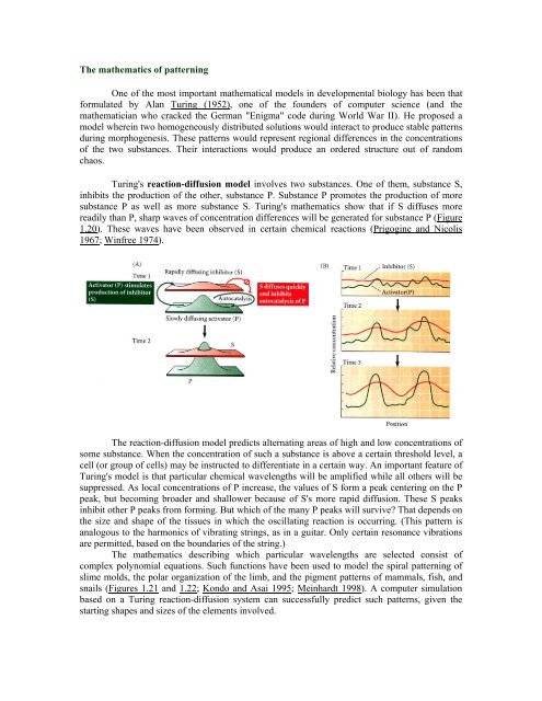 The Questions of Developmental Biology