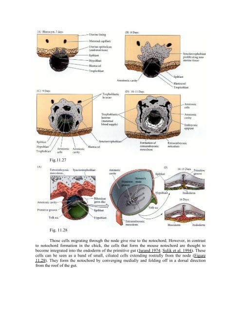 The Questions of Developmental Biology