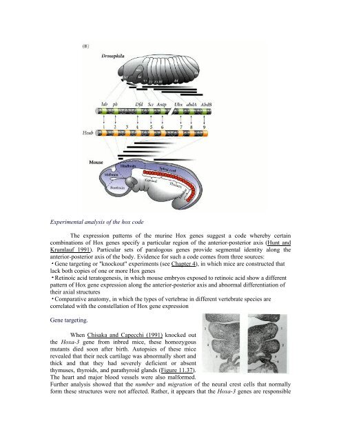 The Questions of Developmental Biology