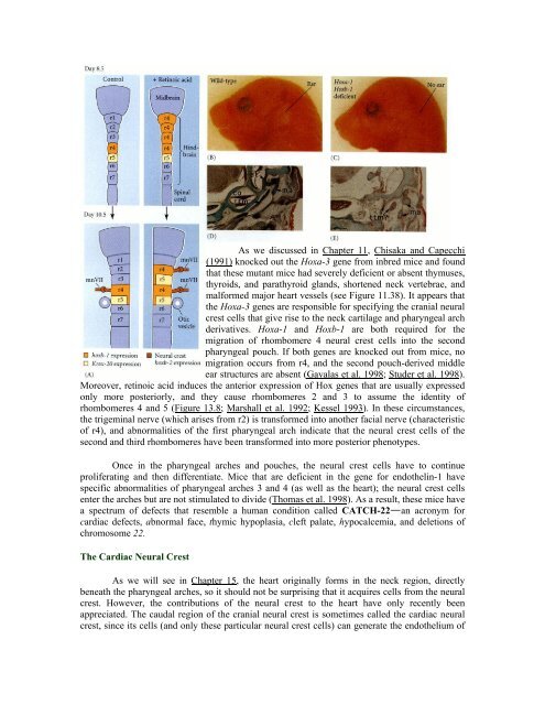 The Questions of Developmental Biology