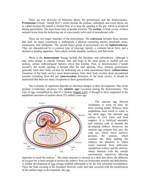 The Questions of Developmental Biology