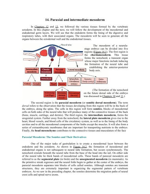 The Questions of Developmental Biology