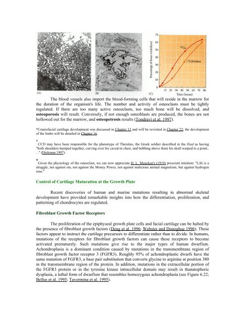 The Questions of Developmental Biology