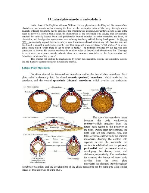 The Questions of Developmental Biology