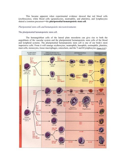 The Questions of Developmental Biology