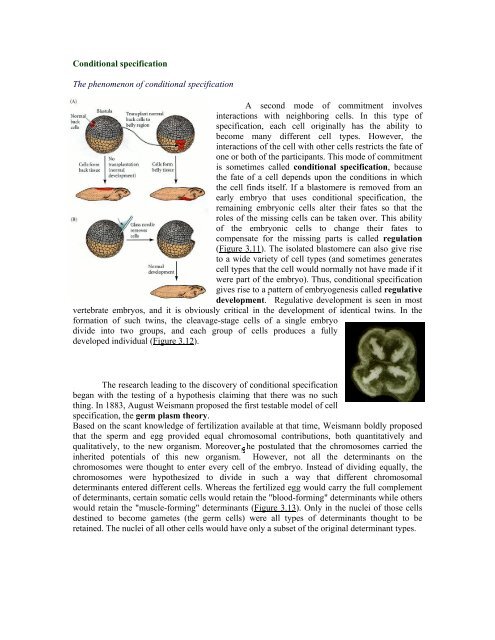 The Questions of Developmental Biology