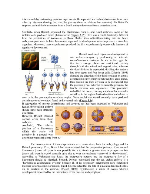 The Questions of Developmental Biology