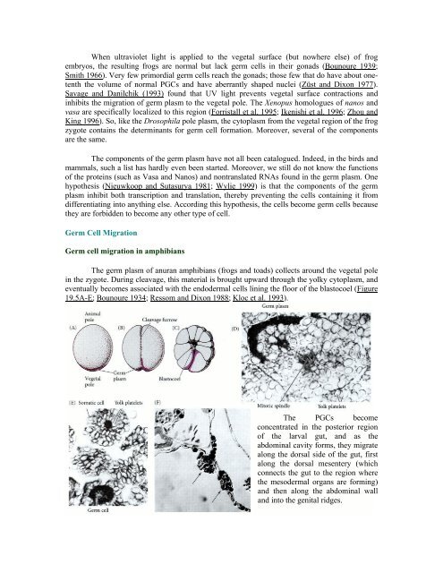 The Questions of Developmental Biology