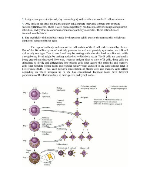 The Questions of Developmental Biology