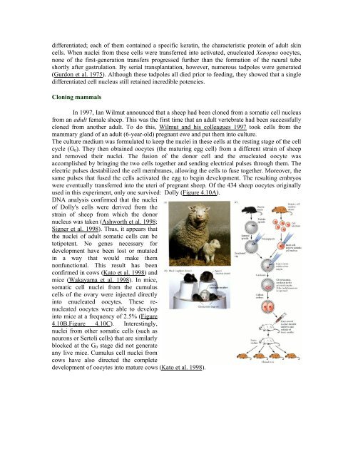 The Questions of Developmental Biology