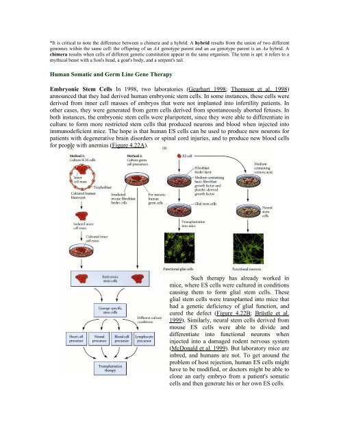 The Questions of Developmental Biology