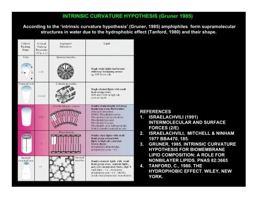 DETERGENTS AND THEIR PROPERTIES BEN HANKAMER ... - 2dx