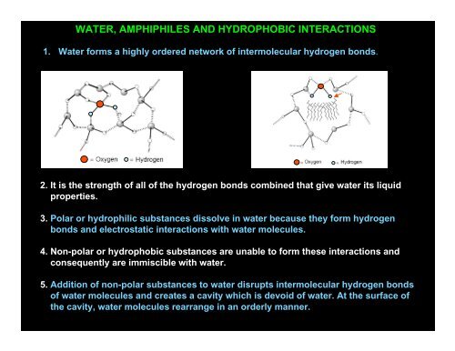 DETERGENTS AND THEIR PROPERTIES BEN HANKAMER ... - 2dx