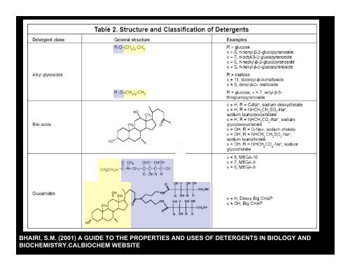 DETERGENTS AND THEIR PROPERTIES BEN HANKAMER ... - 2dx