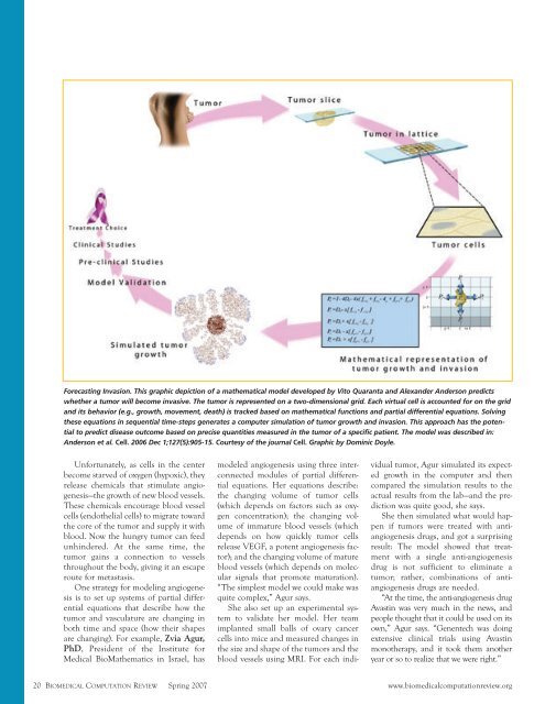 Modeling Cancer Biology - Biomedical Computation Review