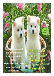 Revista Elevación Nº7, Abril 2015, 1ª Quincena.