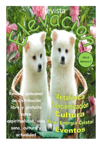 Revista Elevación Nº7, Abril 2015, 1ª Quincena.