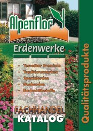 Alpenflor Blumen