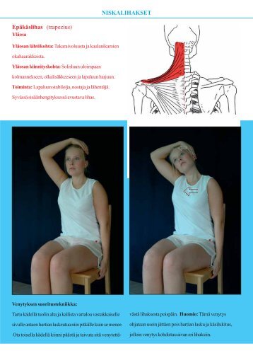 NISKALIHAKSET EpÃ¤kÃ¤slihas (trapezius) - Medirehab