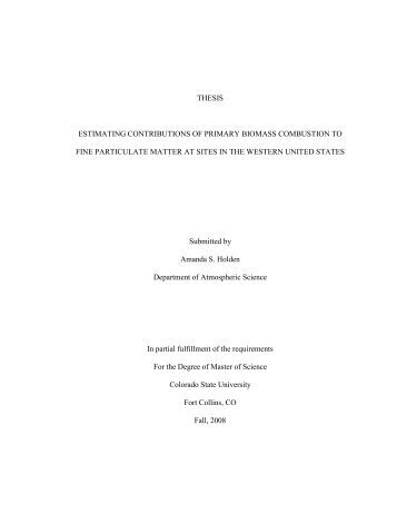 Biomass gasification phd thesis