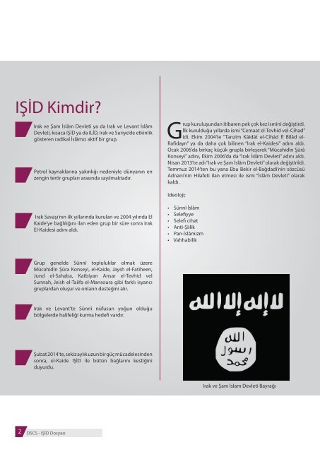 IŞİD Türkiye’de Ne Kadar Etkili?