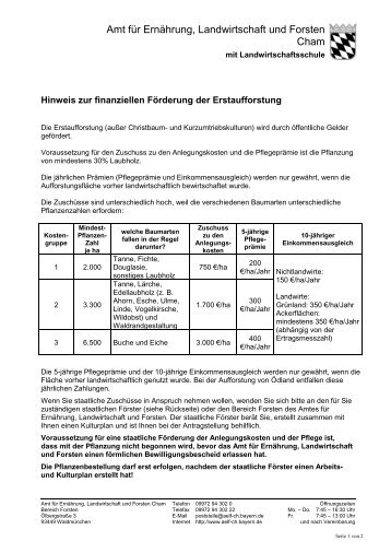 Hinweis zur FÃ¶rderung der Erstaufforstung - Amt fÃ¼r ErnÃ¤hrung ...