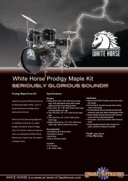 PDF Download brochure - Gear4Music