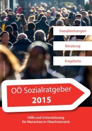  OÖ Sozialratgeber 2015