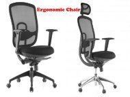 Ergonomic Chair