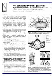 Het cervicale myelum, gevaren I - Step