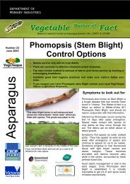 Phomopsis (Stem Blight) - Vegetable Growers Association of Victoria