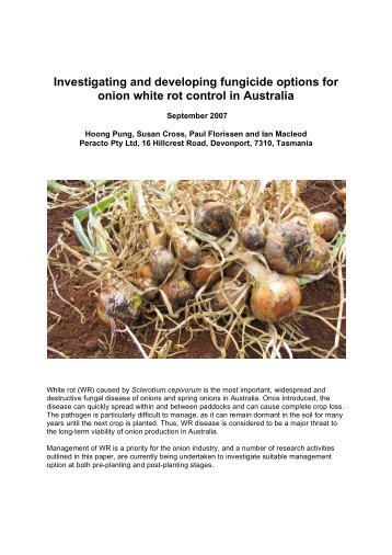 Onion white rot control - Peracto