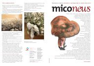 Miconews - settore agricoltura - Provincia di Venezia