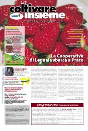 Numero 3 - Maggio - Cooperativa Agricola di Legnaia