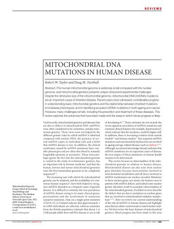 mitochondrial dna mutations in human disease - The Rare ...